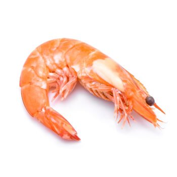 جمبري كبير - Large shrimp